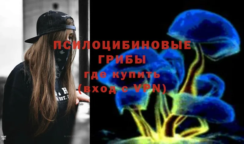 Галлюциногенные грибы Psilocybine cubensis  кракен как войти  Большой Камень  где можно купить  